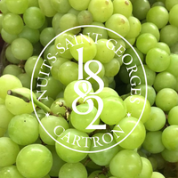 VERMOUTH BLANC JOSEPH CARTRON