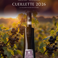 CRÈME DE CASSIS CUEILLETTE 2026 JOSEPH CARTRON