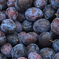 EAU-DE-VIE DE VIEILLE PRUNE JOSEPH CARTRON