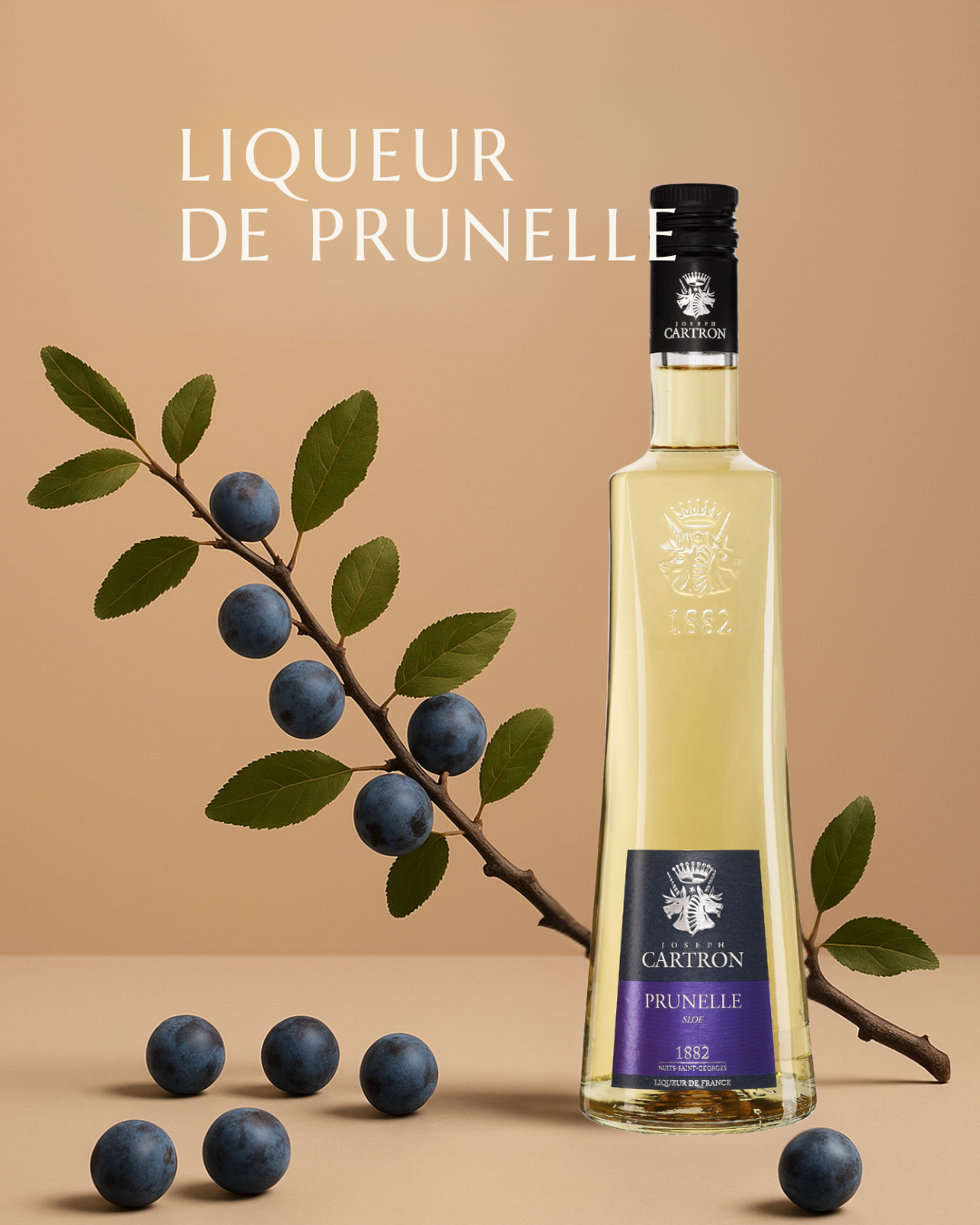 LIQUEUR DE PRUNELLE JOSEPH CARTRON