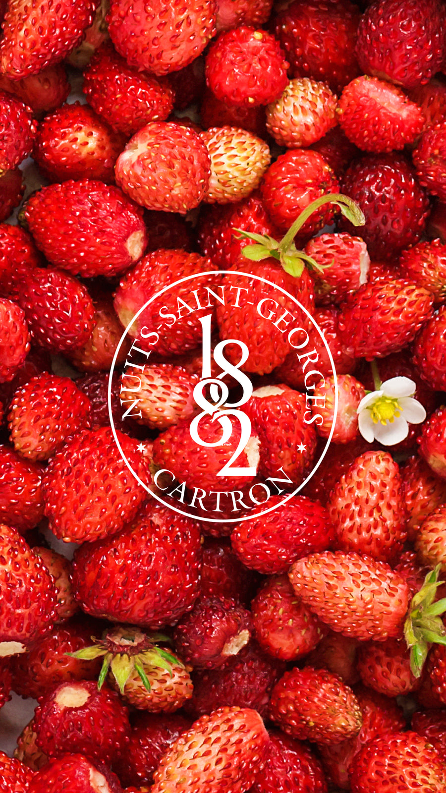 CRÈME DE FRAISE DES BOIS JOSEPH CARTRON