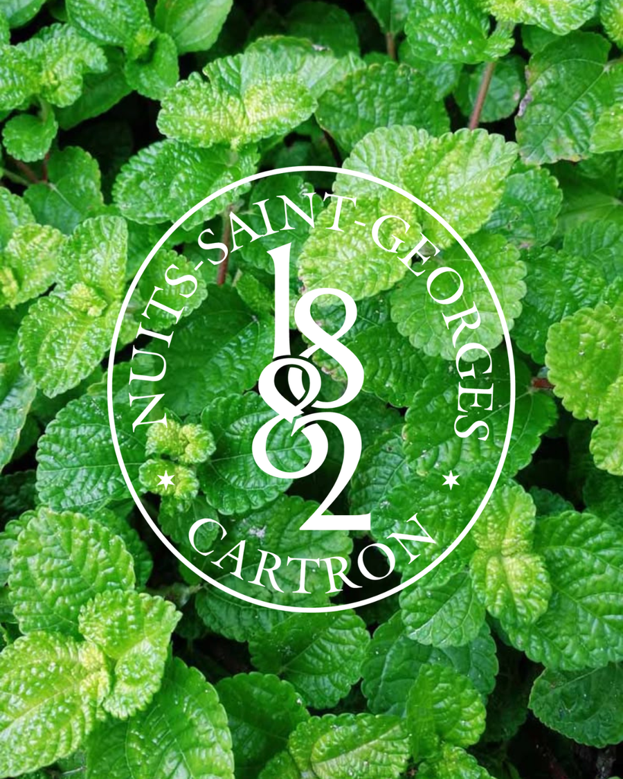 LIQUEUR DE PEPPERMINT VERT JOSEPH CARTRON