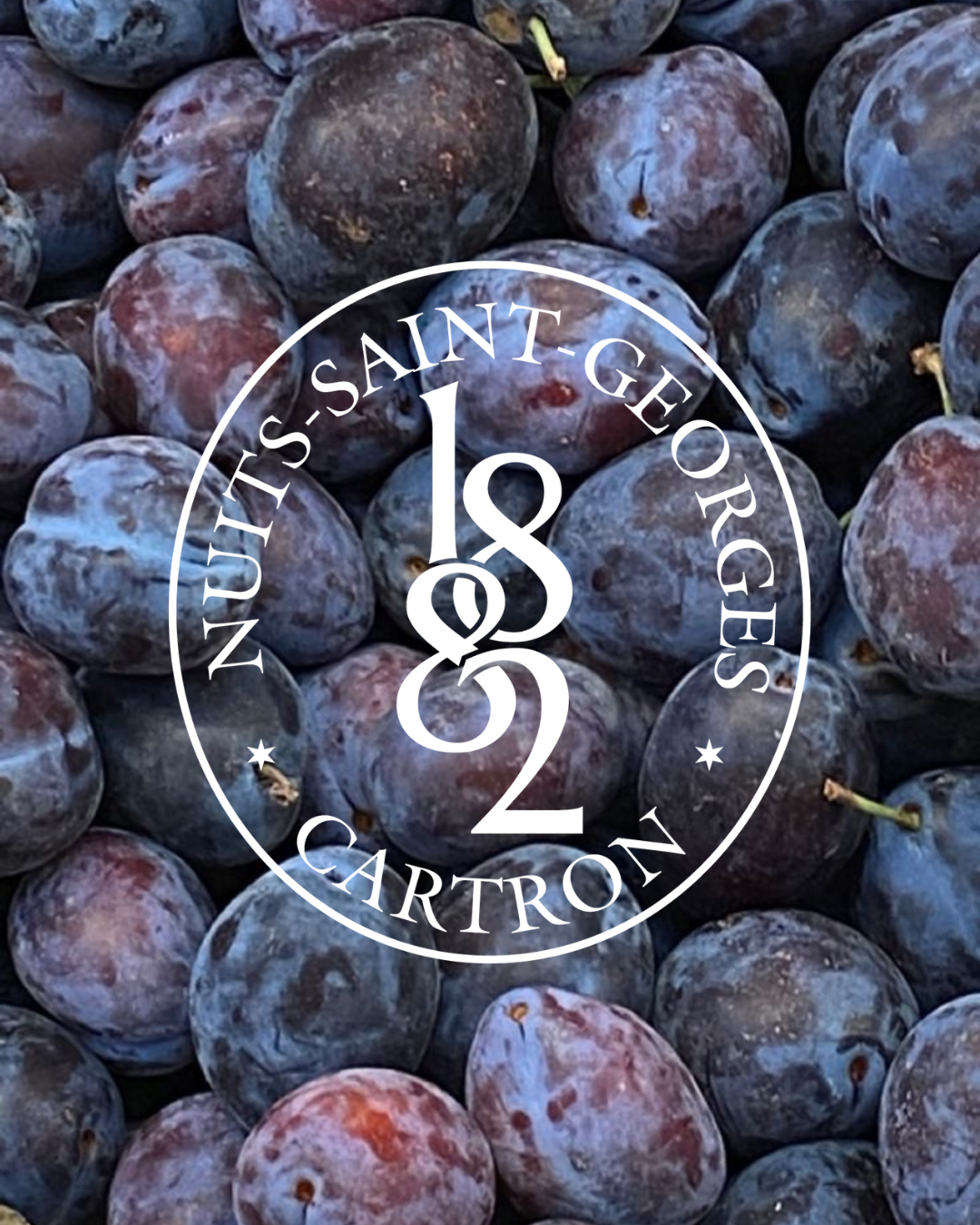 LIQUEUR DE PRUNELLE JOSEPH CARTRON