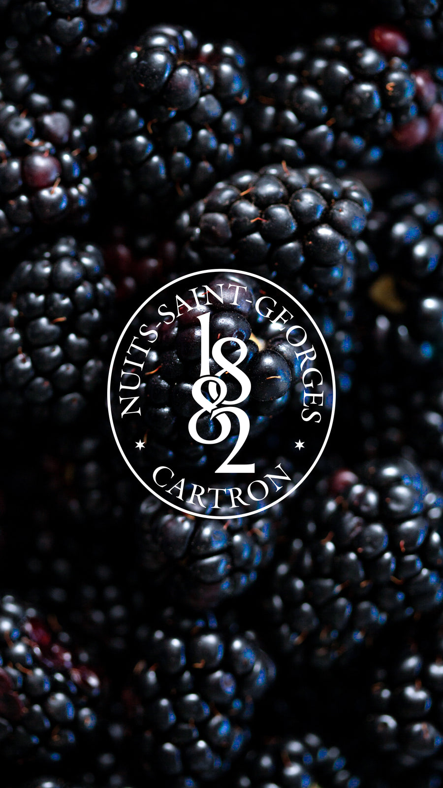 CRÈME DE MÛRE DES RONCIÈRES JOSEPH CARTRON