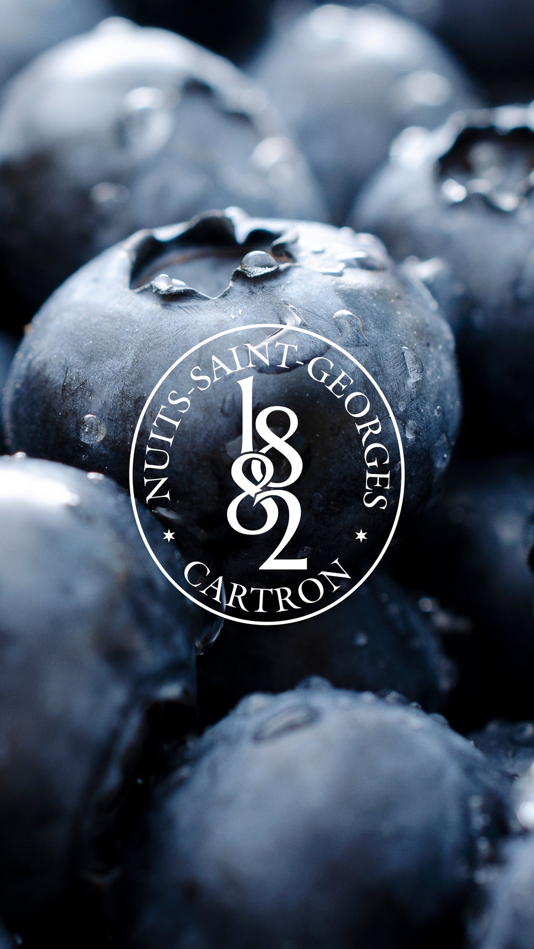 CRÈME DE MYRTILLE DE MONTAGNE JOSEPH CARTRON