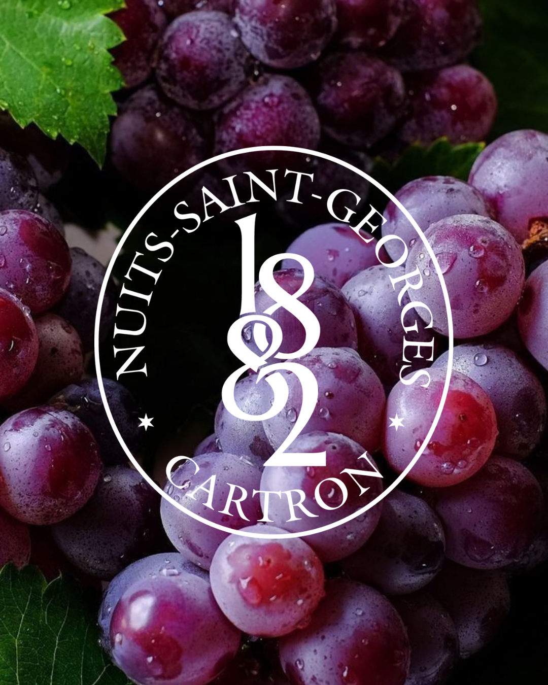 MARC DE BOURGOGNE HORS D’ÂGE JOSEPH CARTRON 15 ANS D’ÂGE - A.O.C.