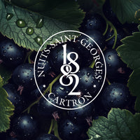 CRÈME DE CASSIS CUEILLETTE 2025 JOSEPH CARTRON