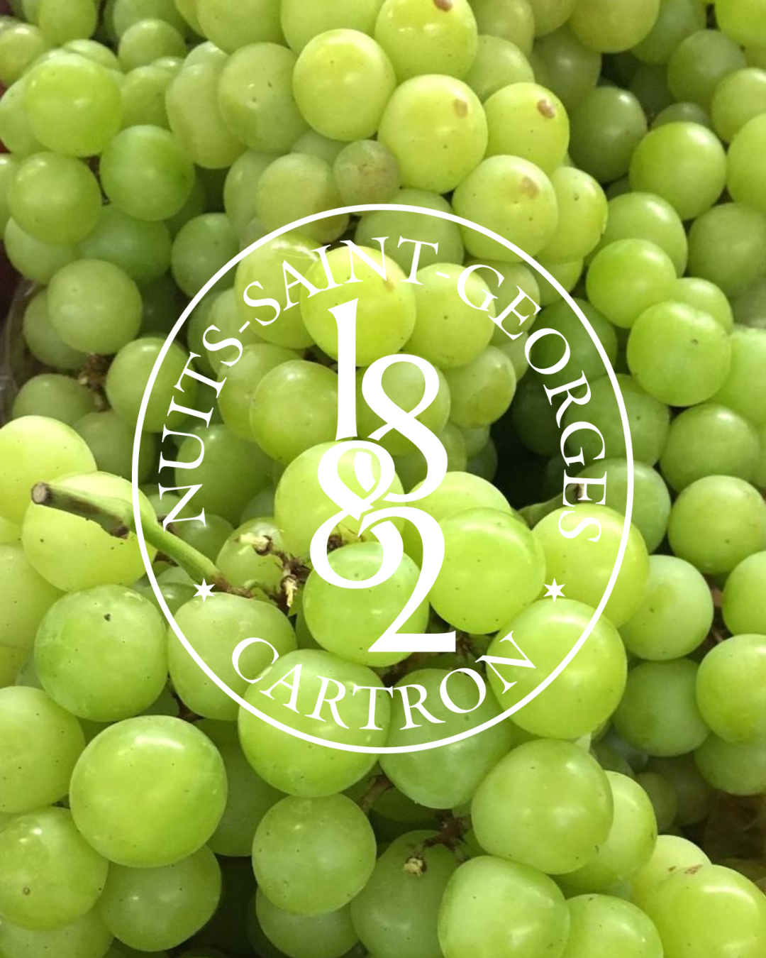 VERMOUTH BLANC JOSEPH CARTRON