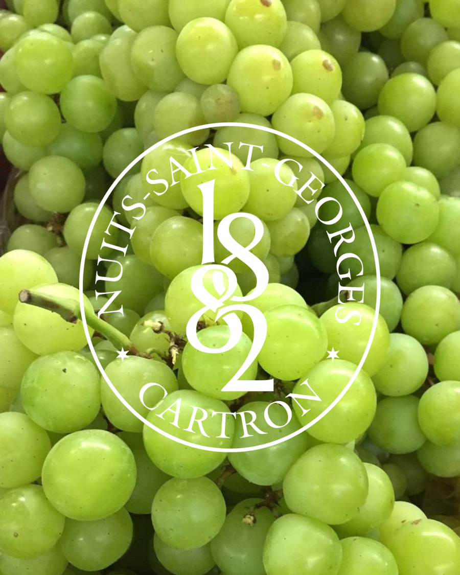 VERMOUTH BLANC JOSEPH CARTRON