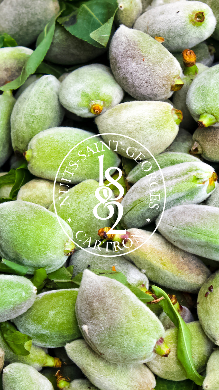 LIQUEUR D'AMARETTO JOSEPH CARTRON