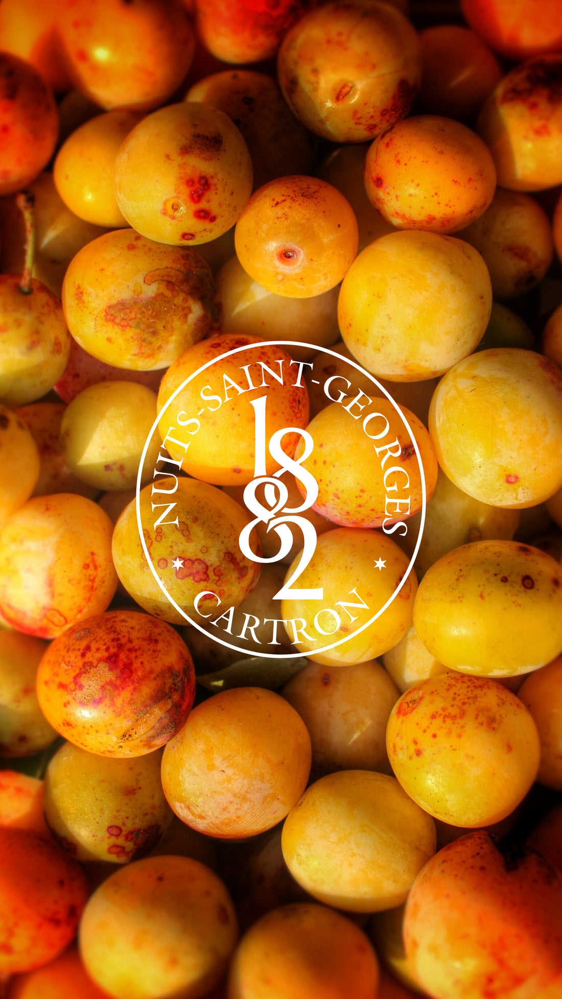 EAU-DE-VIE DE MIRABELLE JOSEPH CARTRON