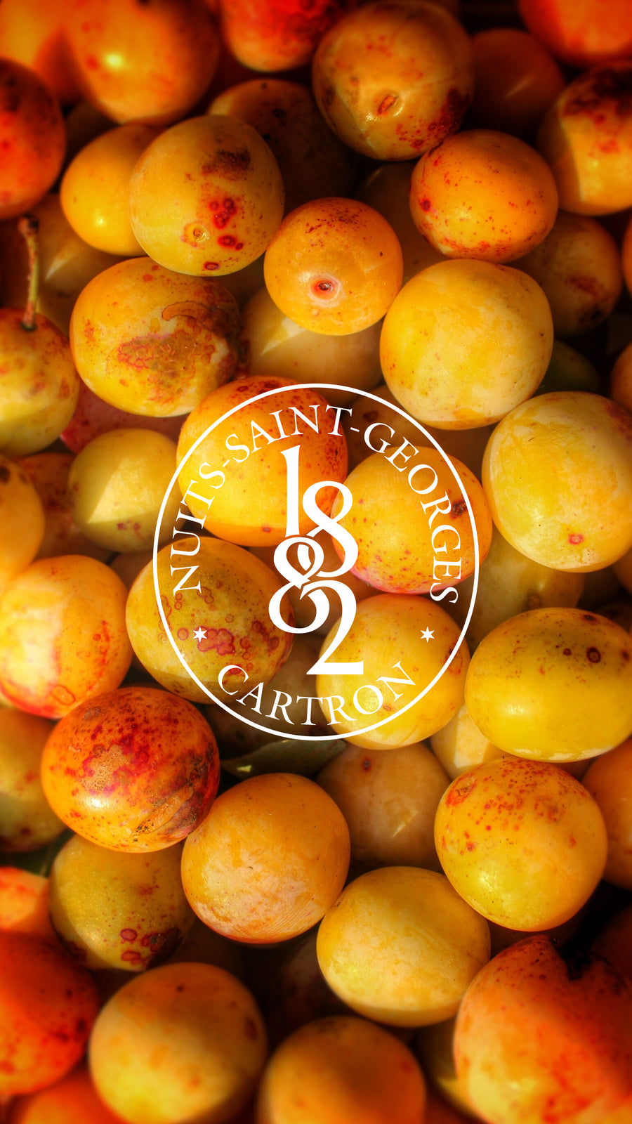 EAU-DE-VIE DE MIRABELLE JOSEPH CARTRON