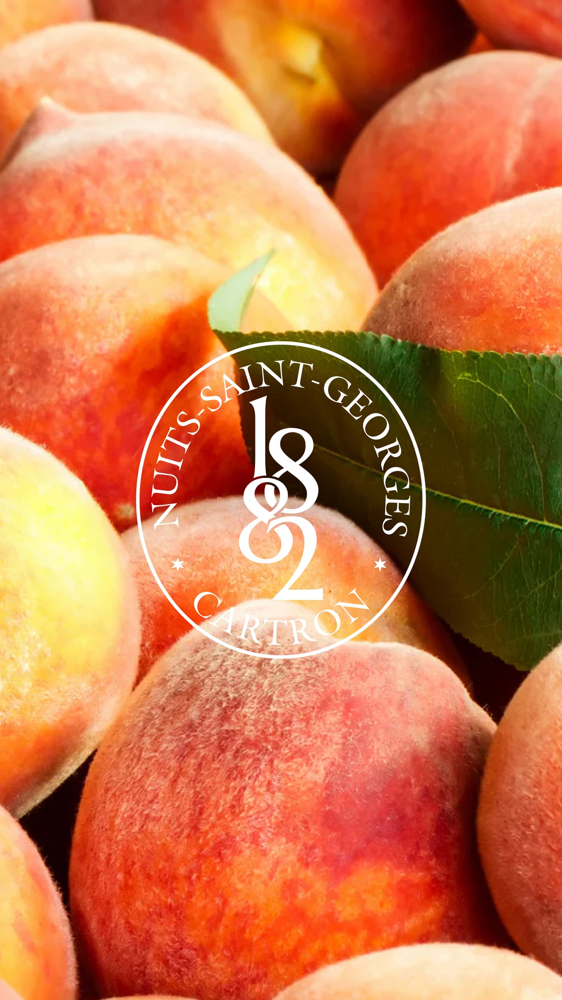 CRÈME DE PÊCHE DE VIGNE JOSEPH CARTRON