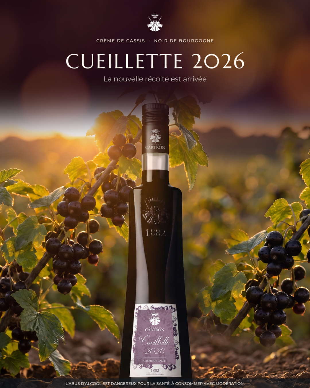 CRÈME DE CASSIS CUEILLETTE 2026 JOSEPH CARTRON