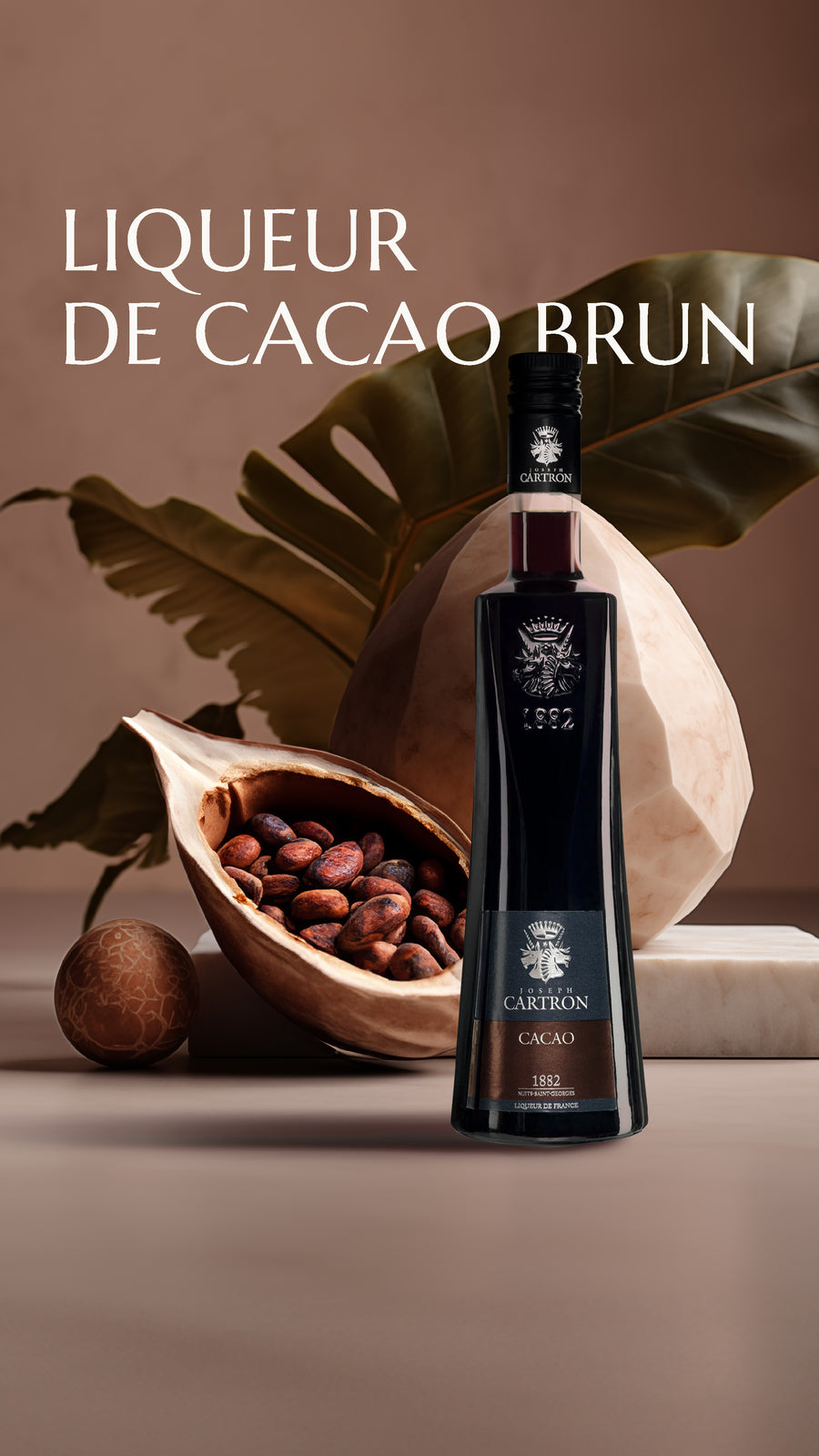 LIQUEUR DE CACAO BRUN JOSEPH CARTRON