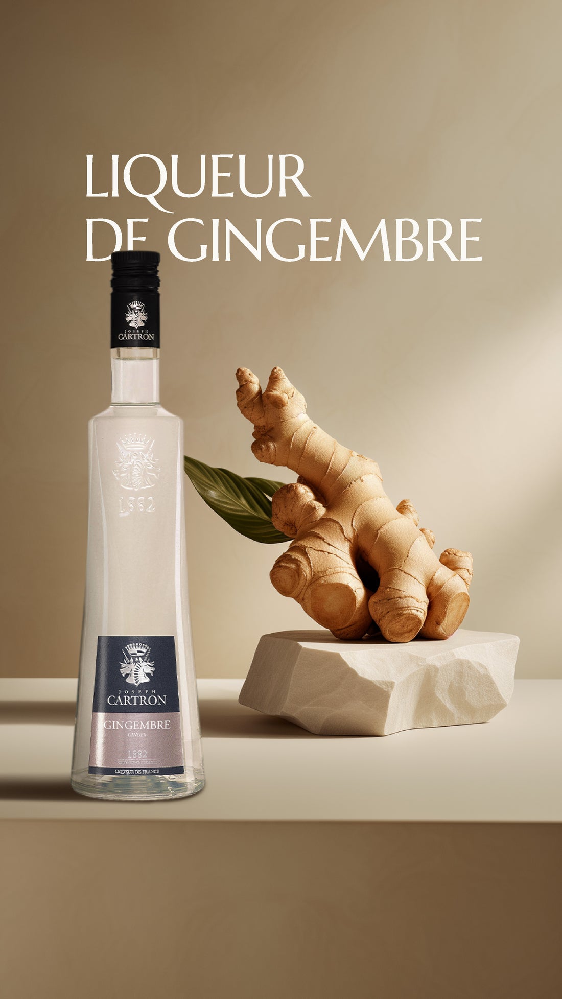 LIQUEUR DE GINGEMBRE JOSEPH CARTRON