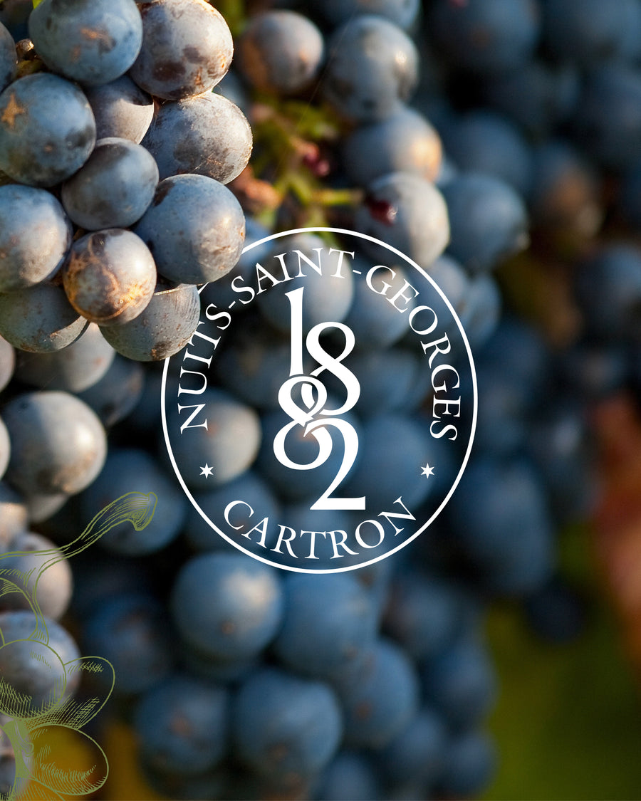 Crémant de Bourgogne blanc de noirs Joseph Cartron AOC