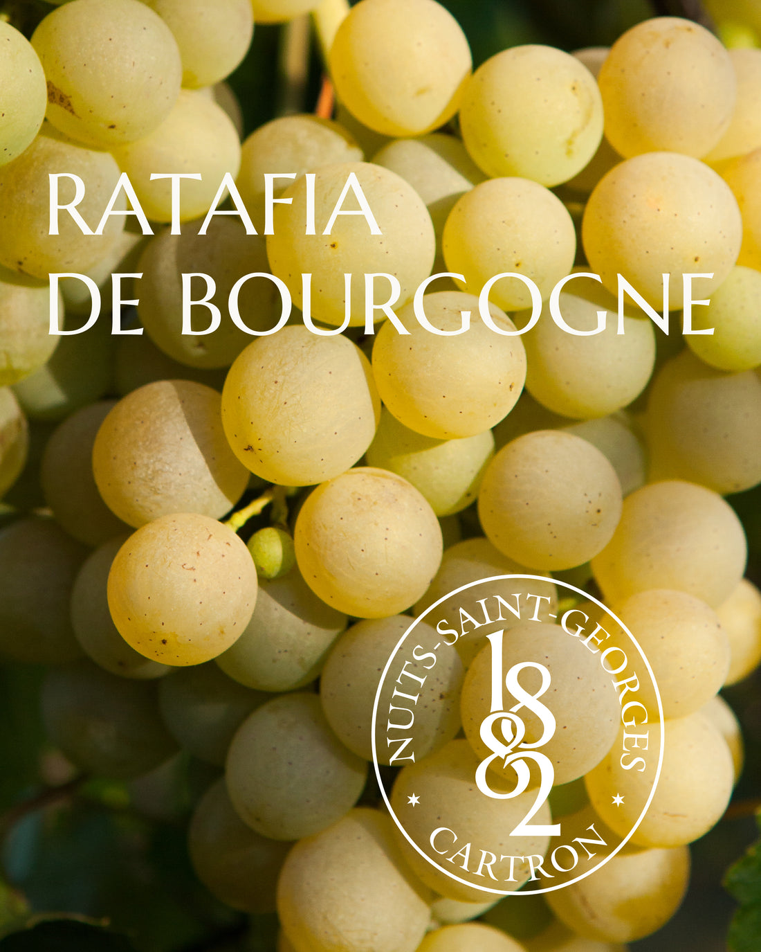 RATAFIA DE BOURGOGNE JOSEPH CARTRON
