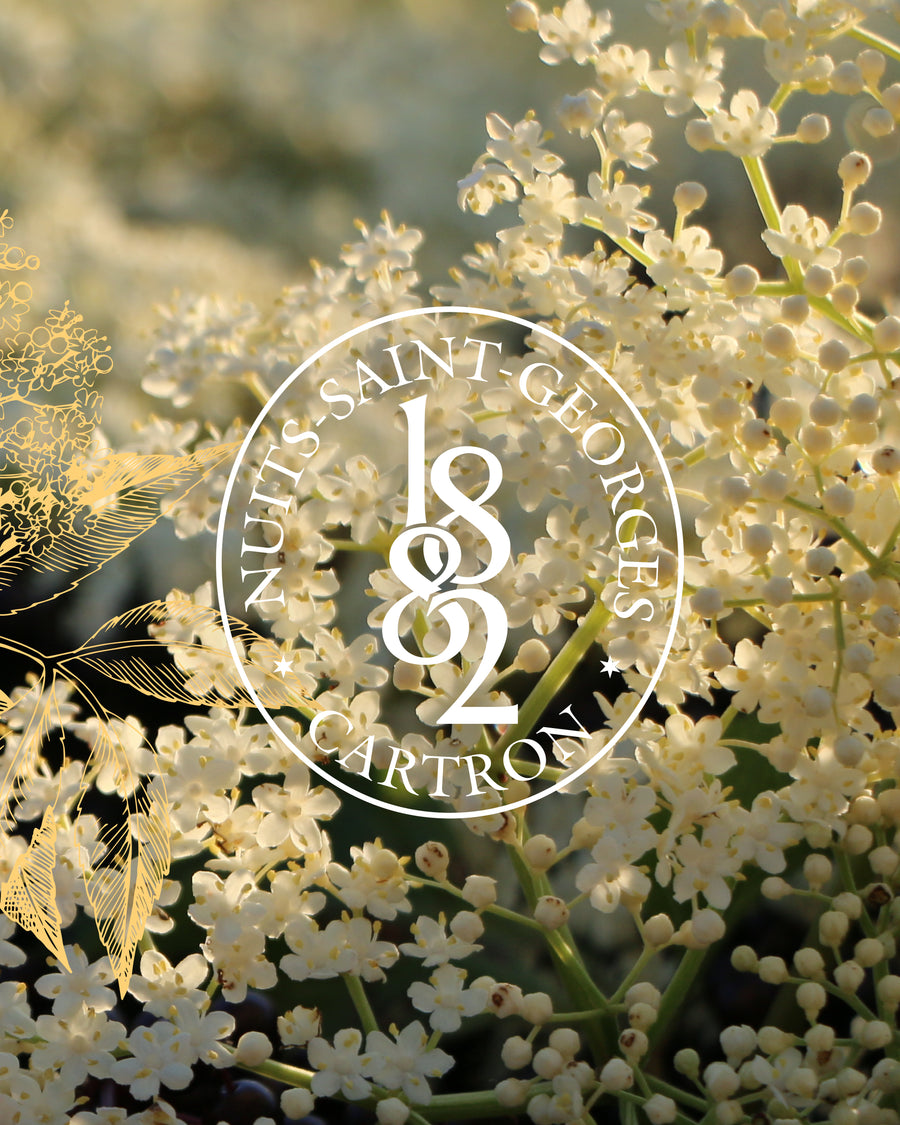 LIQUEUR DE SUREAU JOSEPH CARTRON