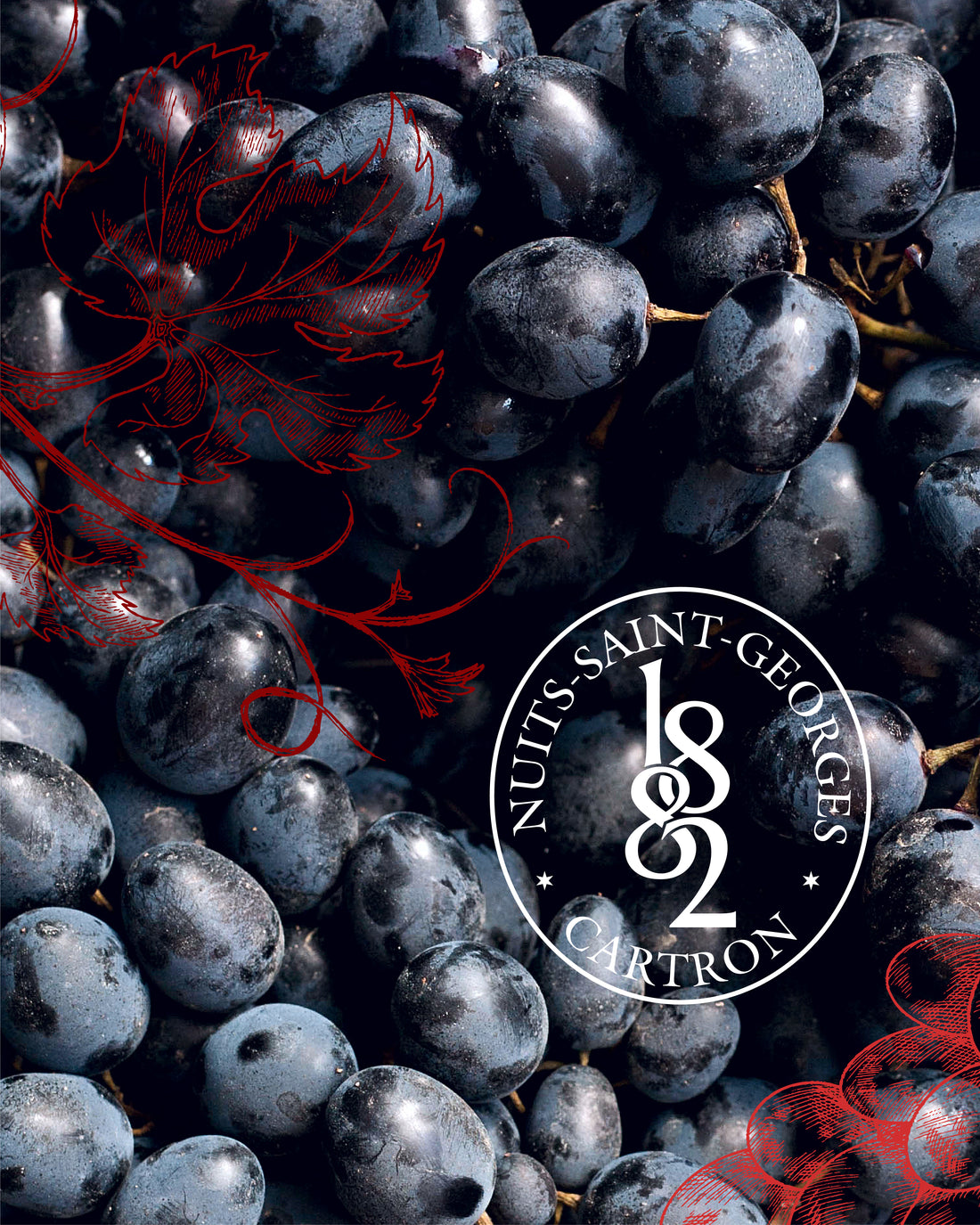 TRÈS VIEILLE FINE DE BOURGOGNE JOSEPH CARTRON A.O.C.