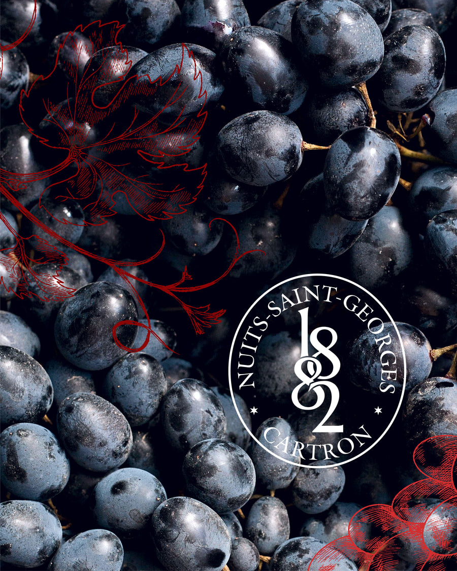 TRÈS VIEILLE FINE DE BOURGOGNE JOSEPH CARTRON A.O.C.